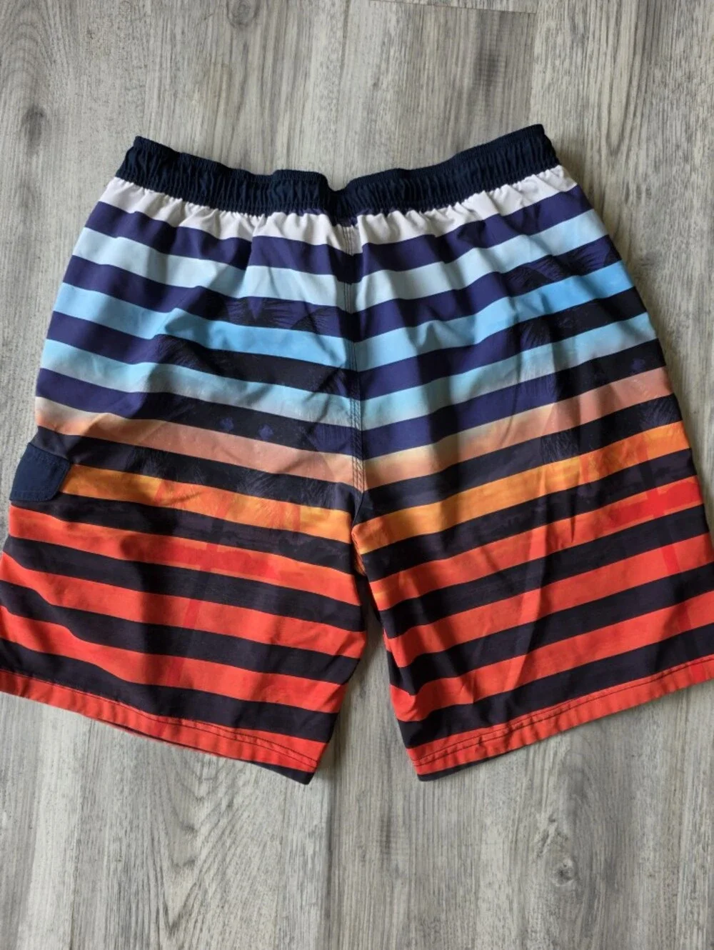 Speedo Men’s Large Multicolor Striped Swim Trunks